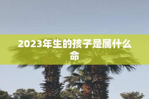 2023年生的孩子是属什么命