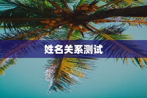 姓名关系测试