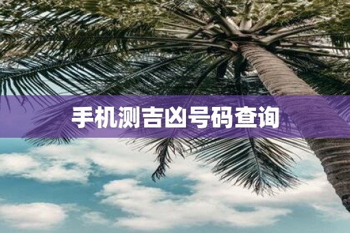 手机测吉凶号码查询