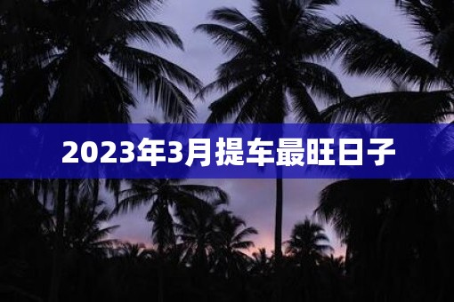 2023年3月提车最旺日子