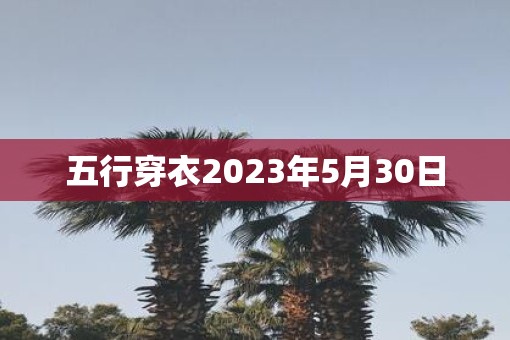 五行穿衣2023年5月30日