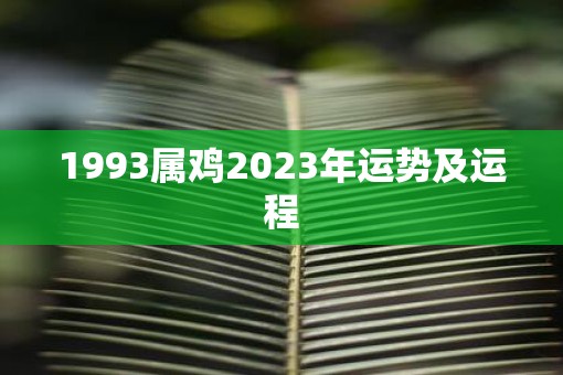 1993属鸡2023年运势及运程