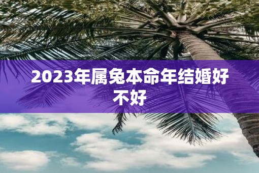 2023年属兔本命年结婚好不好