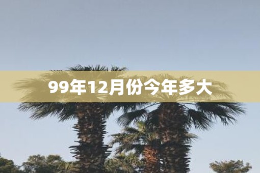 99年12月份今年多大