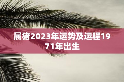 属猪2023年运势及运程1971年出生