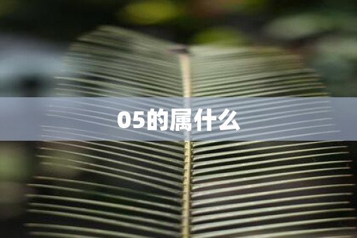 05的属什么