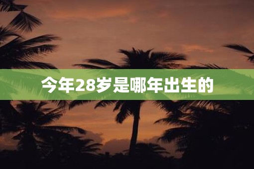 今年28岁是哪年出生的