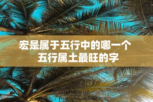 宏是属于五行中的哪一个  五行属土最旺的字