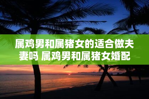 属鸡男和属猪女的适合做夫妻吗 属鸡男和属猪女婚配建议