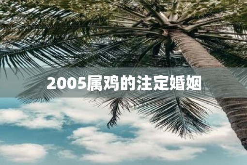 2005属鸡的注定婚姻