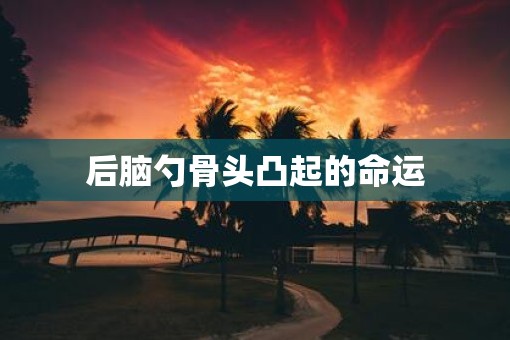 后脑勺骨头凸起的命运