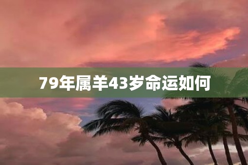 79年属羊43岁命运如何