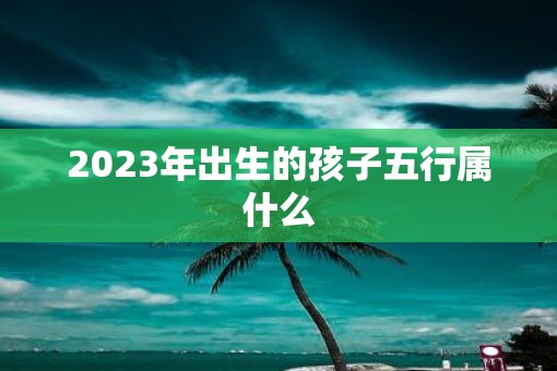 2023年出生的孩子五行属什么