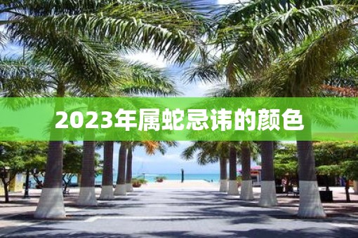 2023年属蛇忌讳的颜色