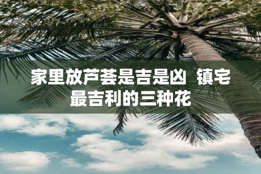 家里放芦荟是吉是凶  镇宅最吉利的三种花