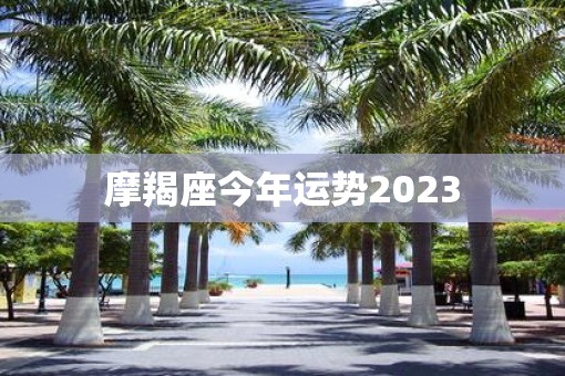 摩羯座今年运势2023