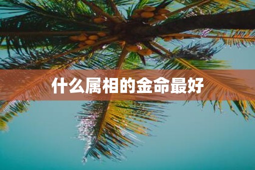 什么属相的金命最好