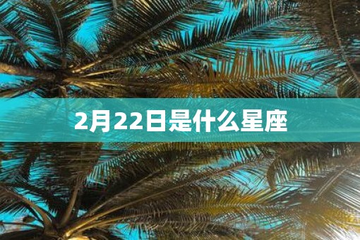 2月22日是什么星座