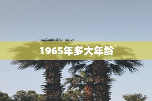 1965年多大年龄