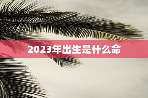 2023年出生是什么命