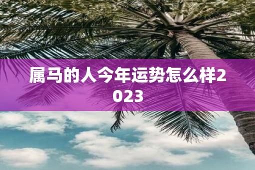 属马的人今年运势怎么样2023