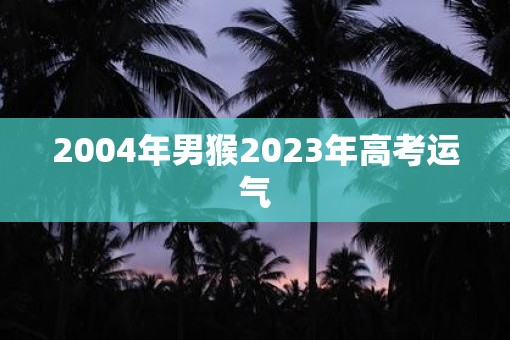 2004年男猴2023年高考运气