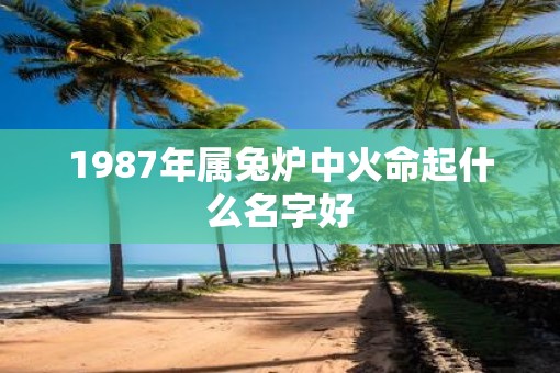 1987年属兔炉中火命起什么名字好