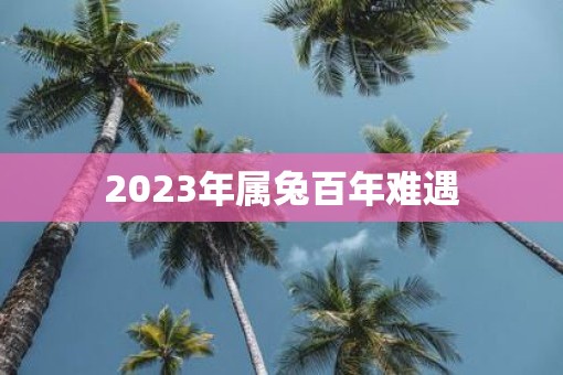 2023年属兔百年难遇