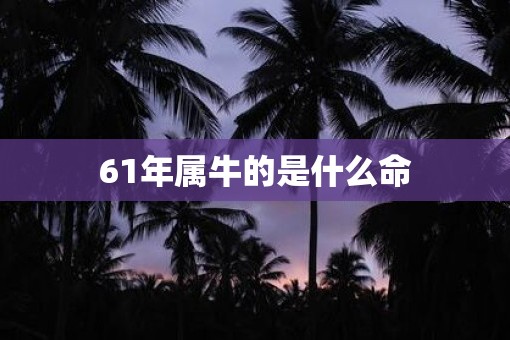 61年属牛的是什么命