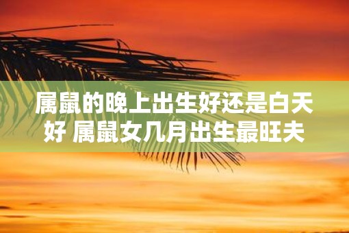 属鼠的晚上出生好还是白天好 属鼠女几月出生最旺夫
