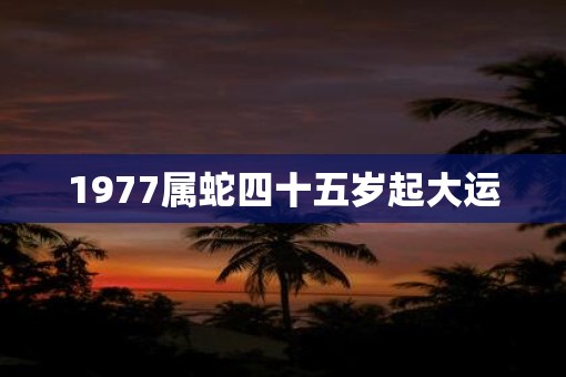 1977属蛇四十五岁起大运