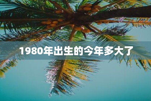 1980年出生的今年多大了