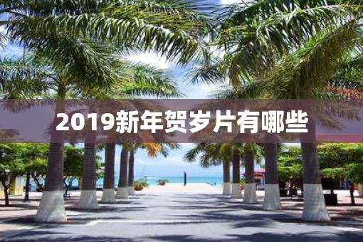 2019新年贺岁片有哪些