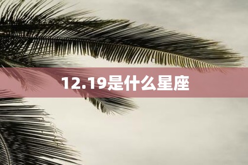 12.19是什么星座