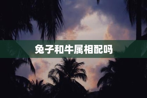 兔子和牛属相配吗