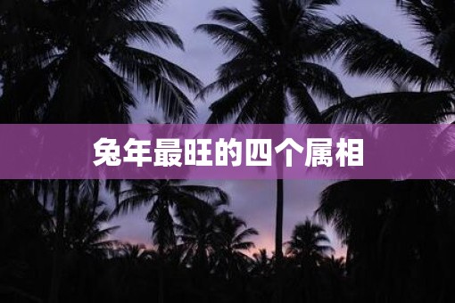 兔年最旺的四个属相