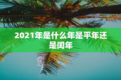 2021年是什么年是平年还是闰年