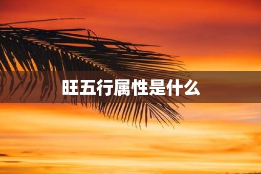 旺五行属性是什么