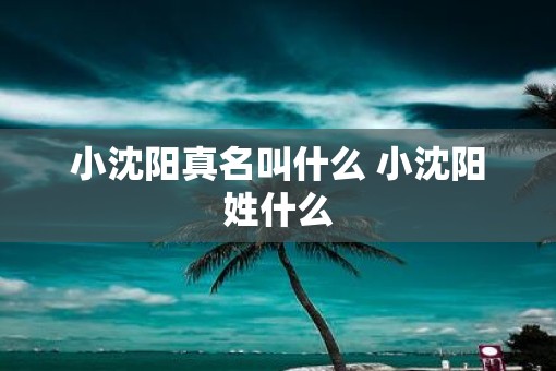 小沈阳真名叫什么 小沈阳姓什么