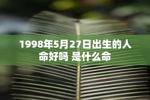 1998年5月27日出生的人命好吗 是什么命