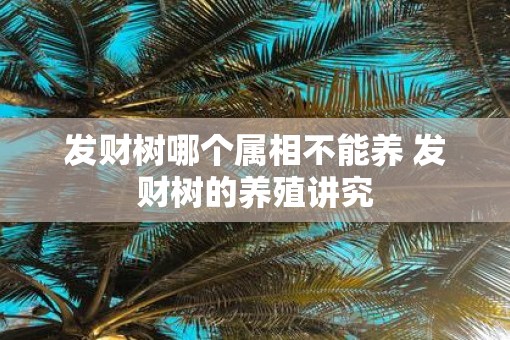 发财树哪个属相不能养 发财树的养殖讲究
