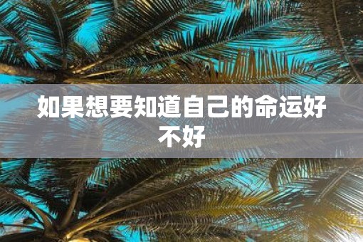 如果想要知道自己的命运好不好
