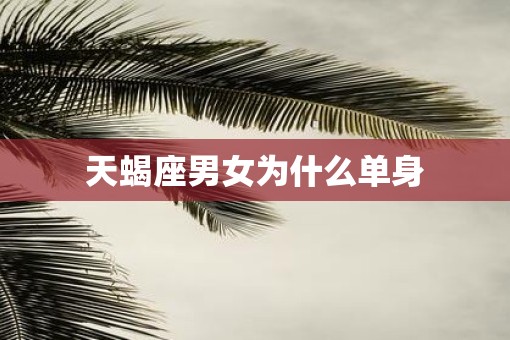 天蝎座男女为什么单身