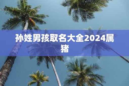孙姓男孩取名大全2025属猪