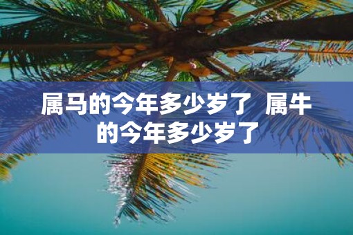 属马的今年多少岁了  属牛的今年多少岁了