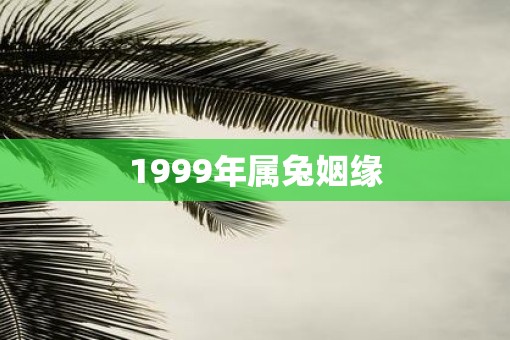 1999年属兔姻缘