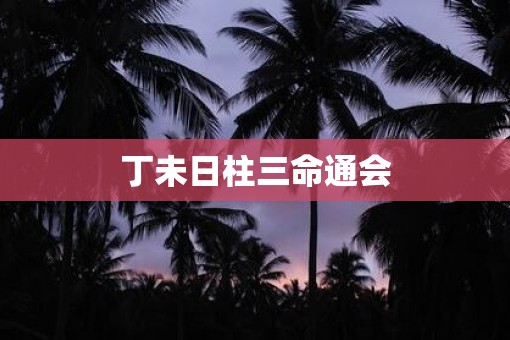 丁未日柱三命通会