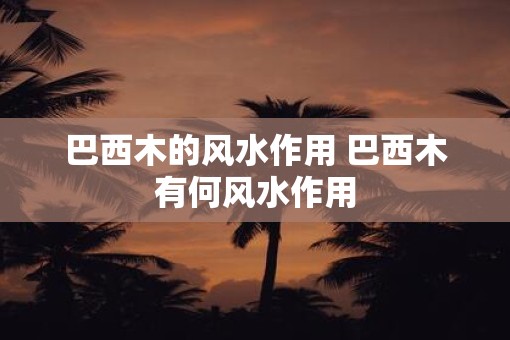 巴西木的风水作用 巴西木有何风水作用