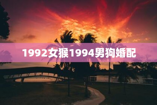 1992女猴1994男狗婚配