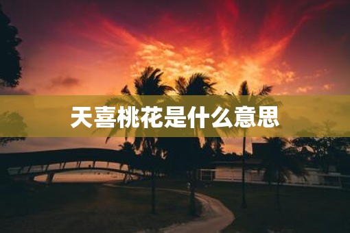 天喜桃花是什么意思